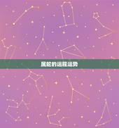 属蛇的运程运势，属蛇的女性今年的运势