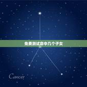 免费测试命中几个子女，可以免费算命算出我的未来一生有几个子女啊