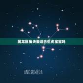 属龙属兔夫妻适合生虎宝宝吗，我属兔，老公属龙，明年生一个虎宝宝可以吗？