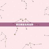 明日属鼠生肖运势，属鼠的明天的运势