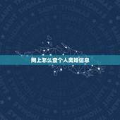 网上怎么查个人离婚信息，离婚在网上怎么能查到