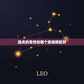 属虎的男性和哪个属相婚配好，属虎的男人和什么属相最配