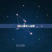 2022属牛人运势，97属牛2021年运势及运程