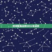 虎年属兔运势2022年运势，2022年最倒霉的四大生肖
