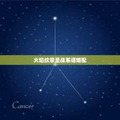 火焰纹章圣战系谱婚配，火花天龙剑火焰之纹章圣战系谱谁和谁结婚是最好的