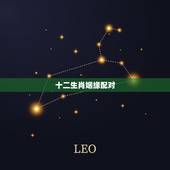 十二生肖姻缘配对，姻缘配对生辰八字合婚