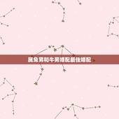 属兔男和牛男婚配最佳婚配，属相婚配：男属兔和女属牛相配吗