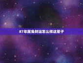 87年属兔财运怎么样这辈子，87年属兔生肖一生运势