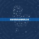 属鼠和属龙的婚姻怎么样，男属龙女属鼠婚姻状况