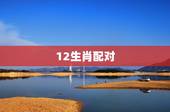 12生肖配对，十二生肖怎么配对？