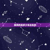 属狗的是多少年出生的，狗是哪一年出生