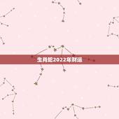 生肖蛇2022年财运，生肖蛇2022 年运势