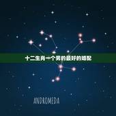 十二生肖一个男的最好的婚配，属蛇男配什么属相好