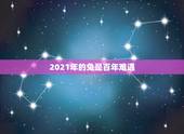 2021年的兔是百年难遇，2021年属兔人的运程