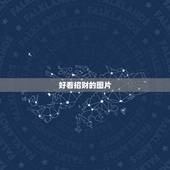 好看招财的图片，什么图可以招财的图片