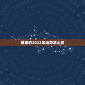 属猪的2022年运势怎么样，2021年属猪人的全年运势如何？