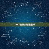 1982配什么婚姻最好，1982年属狗婚姻配对