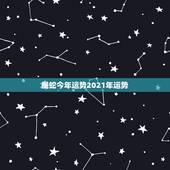 属蛇今年运势2021年运势，属蛇人2021年每月运势运程每月