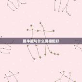 属牛能与什么属相配好，属牛与属什么最佳相配对
