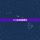 十二生肖姻缘配对，十二生肖婚姻配对