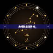 兔婚配最佳属相，属兔配什么生肖最合适