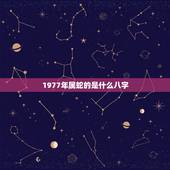 1977年属蛇的是什么八字，1977年是什么命，1977年出生是什么命