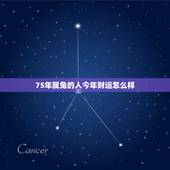 75年属兔的人今年财运怎么样，75年属兔的一生财运