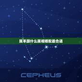 属羊跟什么属相婚配最合适，属羊的和什么属相相配最好？