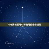 今年属相属马43岁的马的感情运势，1978年属马女生日农历八月初四日感