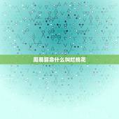 周易算命什么叫烂桃花，易经里的桃花是什么意思