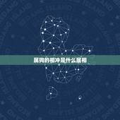 属狗的相冲是什么属相，属狗的和属相什么相冲