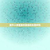属牛人家里摆羊属相的东西好吗，属羊和什么相冲
