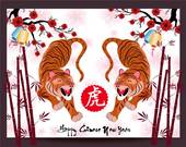 74年属虎人今年的运气(如何)