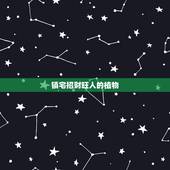 镇宅招财旺人的植物，为了镇宅招财而养花，有哪些好看、好养的盆栽？