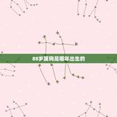 88岁属狗是哪年出生的，属狗是哪年出生的
