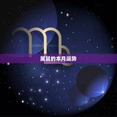 属鼠的本月运势，属鼠本月运势女生