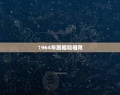 1964年属相和相克，64年属什么生肖