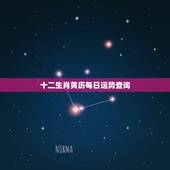 十二生肖黄历每日运势查询，十二生肖每日运势什么时候最好