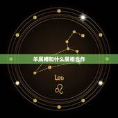 羊属相和什么属相合作，属羊的和什么属相合作愉快2015年