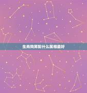 生肖狗男配什么属相最好，属狗的男人和什么属相最配