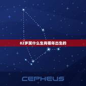 82岁属什么生肖哪年出生的，属狗什么生肖多少岁