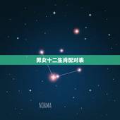 男女十二生肖配对表，生肖配对男女生肖的配对