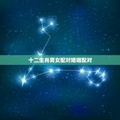 十二生肖男女配对婚姻配对，最全十二属相婚配表