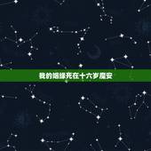我的姻缘死在十六岁魔安，一个为她血染后宫的人，最终却已腰斩之刑处决她。