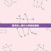 属羊的人跟什么属相的最配，属羊女配什么属相好？