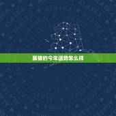 属猪的今年运势怎么样，属猪人今年每月运势如何