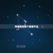 鸡生肖和哪个属相不合，生肖鸡是哪一年的？