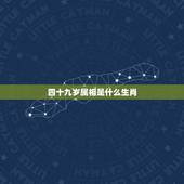 四十九岁属相是什么生肖，查一下49岁属什么生肖