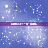 兔鸡是否适合在2019年婚配，兔鸡相冲是什么意思