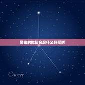 属猪的微信名起什么好聚财，适合属猪的微信名字